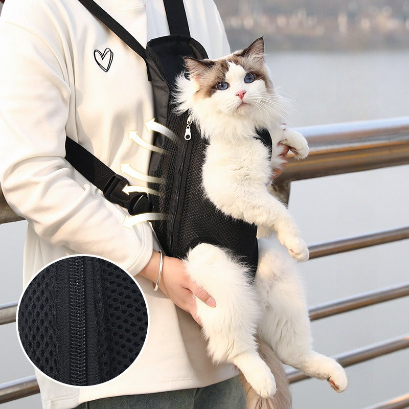 PET CARE ESSENTIALS PET CARE ESSENTIALS