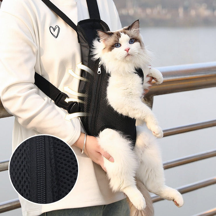 PET CARE ESSENTIALS PET CARE ESSENTIALS