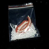 Silicone Simulation Smile Dentures Tooth Socket