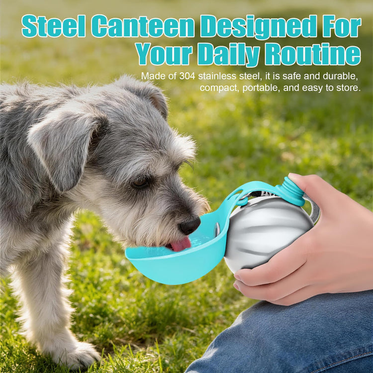 Portable Dog Water Bottle 10oz Stainless Steel Travel