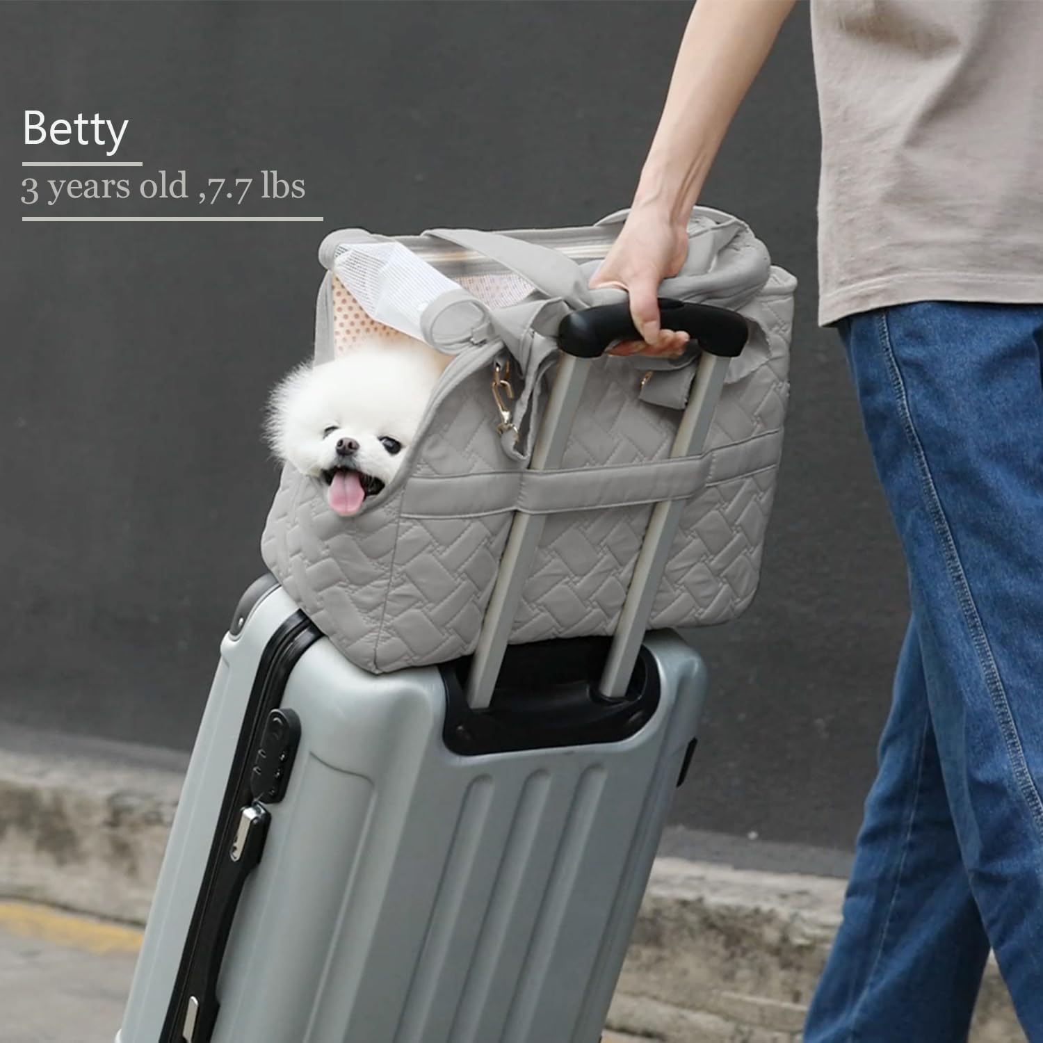 Cat Carrier Small Dog Handbag Cat Puppy Carrier Bag Large