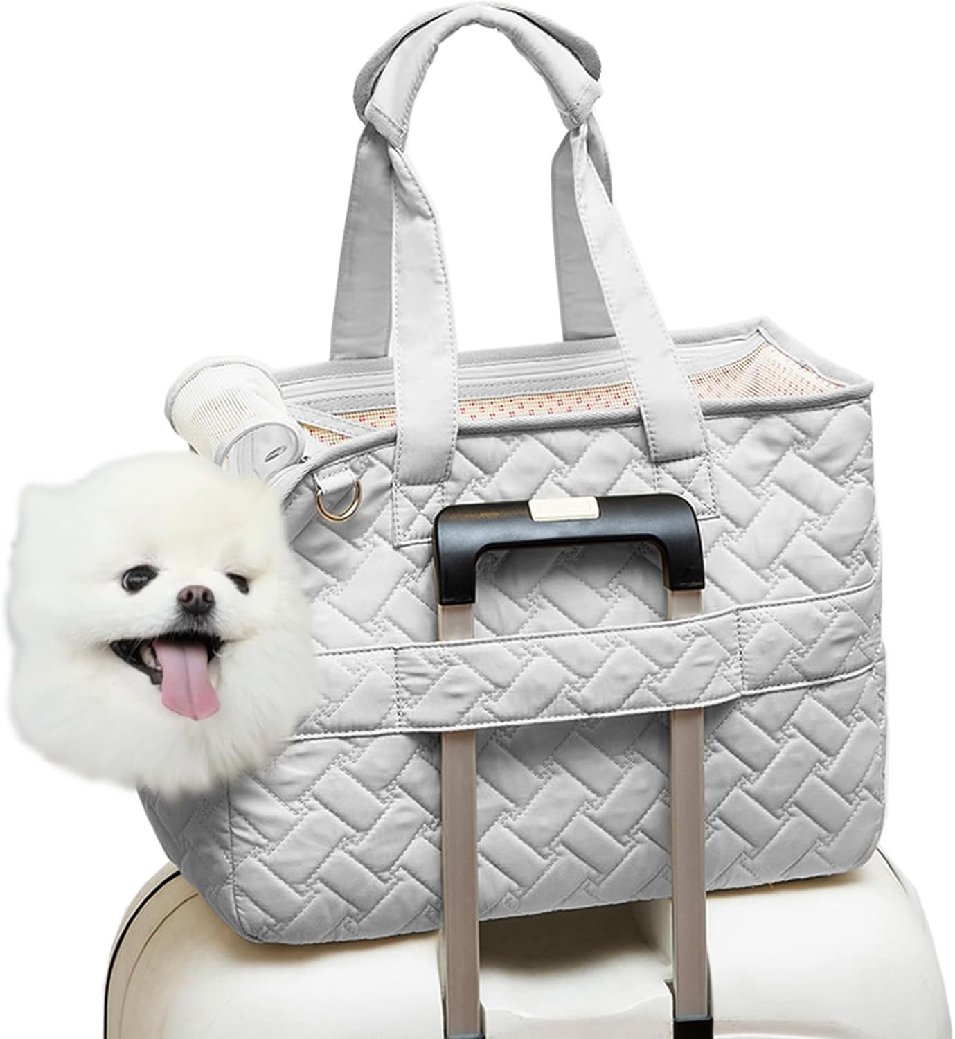 Cat Carrier Small Dog Handbag Cat Puppy Carrier Bag Large